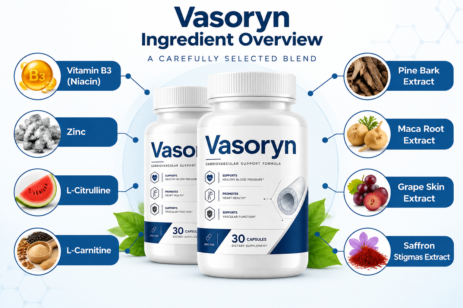 Vasoryn Ingredient